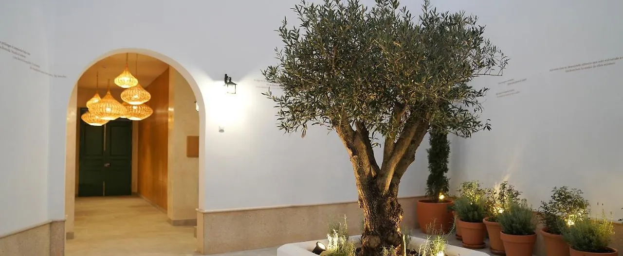Casa De La Vega Suites Chiclana de la Frontera Spain